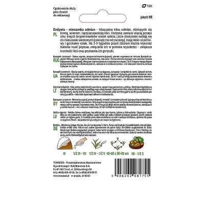 ENDYWIA Mieszanka Odmian Nasiona moc witamin